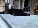 Gerda 6